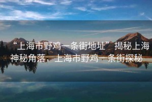 “上海市野雞一條街地址”揭秘上海神秘角落，上海市野雞一條街探秘