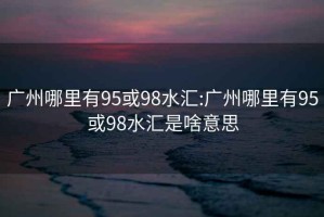 廣州哪里有95或98水匯:廣州哪里有95或98水匯是啥意思