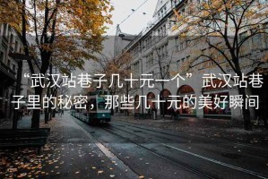 “武漢站巷子幾十元一個”武漢站巷子里的秘密，那些幾十元的美好瞬間