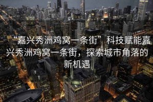 “嘉興秀洲雞窩一條街”科技賦能嘉興秀洲雞窩一條街，探索城市角落的新機遇