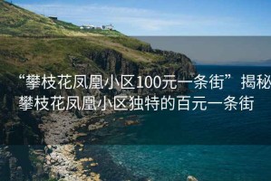 “攀枝花鳳凰小區(qū)100元一條街”揭秘攀枝花鳳凰小區(qū)獨(dú)特的百元一條街