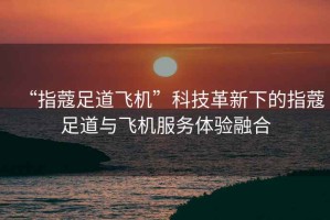 “指蔻足道飛機(jī)”科技革新下的指蔻足道與飛機(jī)服務(wù)體驗融合