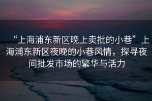 “上海浦東新區(qū)晚上賣批的小巷”上海浦東新區(qū)夜晚的小巷風(fēng)情，探尋夜間批發(fā)市場的繁華與活力