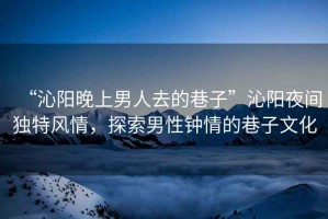 “沁陽晚上男人去的巷子”沁陽夜間獨(dú)特風(fēng)情，探索男性鐘情的巷子文化