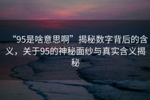 “95是啥意思啊”揭秘數(shù)字背后的含義，關于95的神秘面紗與真實含義揭秘