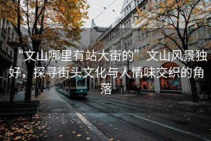 “文山哪里有站大街的”文山風(fēng)景獨(dú)好，探尋街頭文化與人情味交織的角落