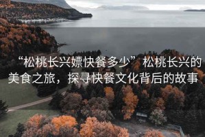 “松桃長(zhǎng)興嫖快餐多少”松桃長(zhǎng)興的美食之旅，探尋快餐文化背后的故事