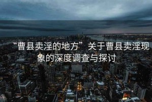 “曹縣賣淫的地方”關(guān)于曹縣賣淫現(xiàn)象的深度調(diào)查與探討