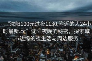 “沈陽100元過夜1130.附近的人24小時最新.cc”沈陽夜晚的秘密，探索城市邊緣的夜生活與周邊服務(wù)