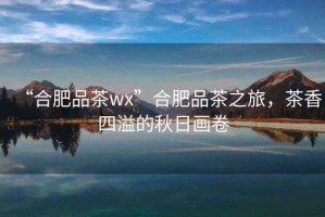 “合肥品茶wx”合肥品茶之旅，茶香四溢的秋日畫卷