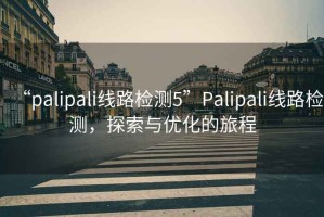 “palipali線路檢測5”Palipali線路檢測，探索與優(yōu)化的旅程