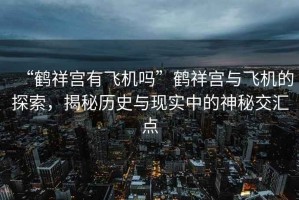 “鶴祥宮有飛機(jī)嗎”鶴祥宮與飛機(jī)的探索，揭秘歷史與現(xiàn)實(shí)中的神秘交匯點(diǎn)