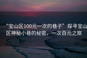 “寶山區(qū)100元一次的巷子”探尋寶山區(qū)神秘小巷的秘密，一次百元之旅