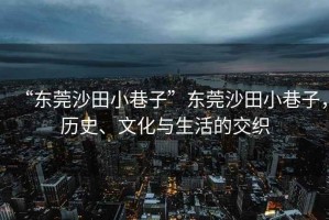 “東莞沙田小巷子”東莞沙田小巷子，歷史、文化與生活的交織