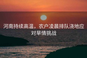 河南持續(xù)高溫，農(nóng)戶凌晨排隊澆地應(yīng)對旱情挑戰(zhàn)