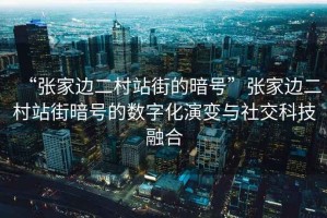 “張家邊二村站街的暗號”張家邊二村站街暗號的數(shù)字化演變與社交科技融合