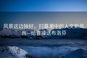 風(fēng)景這邊獨(dú)好，掃墓潮中的人文新風(fēng)尚—給曹操送布洛芬