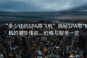 “多少錢的SPA帶飛機”揭秘SPA帶飛機的豪華體驗，價格與服務(wù)一覽