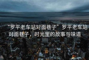 “羅平老車站對(duì)面巷子”羅平老車站對(duì)面巷子，時(shí)光里的故事與味道