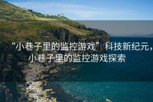 “小巷子里的監(jiān)控游戲”科技新紀元，小巷子里的監(jiān)控游戲探索