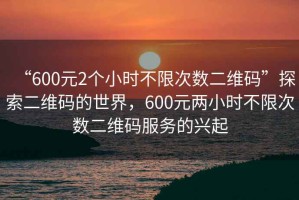 “600元2個小時不限次數(shù)二維碼”探索二維碼的世界，600元兩小時不限次數(shù)二維碼服務(wù)的興起