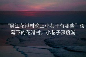 “吳江花港村晚上小巷子有哪些”夜幕下的花港村，小巷子深度游