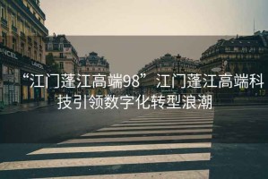 “江門蓬江高端98”江門蓬江高端科技引領(lǐng)數(shù)字化轉(zhuǎn)型浪潮