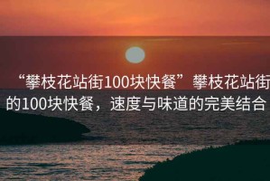 “攀枝花站街100塊快餐”攀枝花站街的100塊快餐，速度與味道的完美結(jié)合