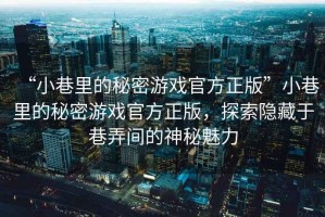 “小巷里的秘密游戲官方正版”小巷里的秘密游戲官方正版，探索隱藏于巷弄間的神秘魅力