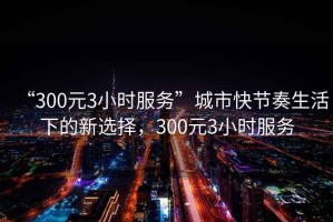 “300元3小時服務”城市快節(jié)奏生活下的新選擇，300元3小時服務