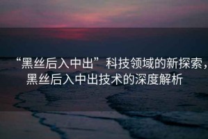 “黑絲后入中出”科技領域的新探索，黑絲后入中出技術的深度解析