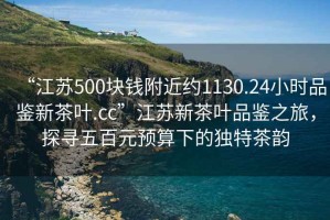 “江蘇500塊錢附近約1130.24小時(shí)品鑒新茶葉.cc”江蘇新茶葉品鑒之旅，探尋五百元預(yù)算下的獨(dú)特茶韻