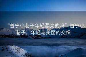 “普寧小巷子年輕漂亮的嗎”普寧小巷子，年輕與美麗的交織