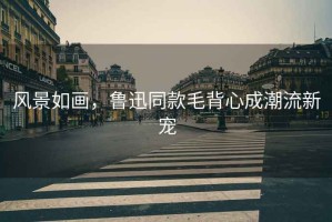 風(fēng)景如畫，魯迅同款毛背心成潮流新寵