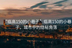“臨高150的小巷子”臨高150的小巷子，城市中的隱秘角落
