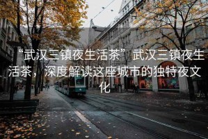 “武漢三鎮(zhèn)夜生活茶”武漢三鎮(zhèn)夜生活茶，深度解讀這座城市的獨特夜文化