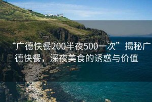 “廣德快餐200半夜500一次”揭秘廣德快餐，深夜美食的誘惑與價(jià)值