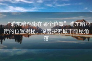 “浦東暗雞街在哪個(gè)位置”浦東暗雞街的位置揭秘，深度探索城市隱秘角落