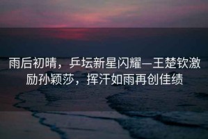 雨后初晴，乒壇新星閃耀—王楚欽激勵孫穎莎，揮汗如雨再創(chuàng)佳績