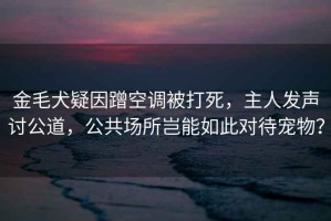 金毛犬疑因蹭空調(diào)被打死，主人發(fā)聲討公道，公共場所豈能如此對待寵物？