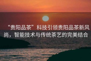 “貴陽品茶”科技引領(lǐng)貴陽品茶新風尚，智能技術(shù)與傳統(tǒng)茶藝的完美結(jié)合