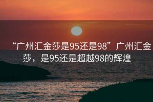 “廣州匯金莎是95還是98”廣州匯金莎，是95還是超越98的輝煌