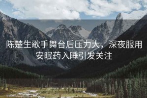 陳楚生歌手舞臺后壓力大，深夜服用安眠藥入睡引發(fā)關(guān)注