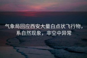 氣象局回應(yīng)西安大量白點(diǎn)狀飛行物，系自然現(xiàn)象，非空中異常