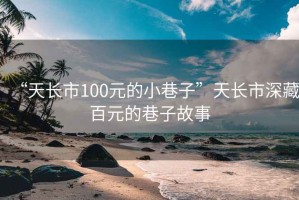 “天長市100元的小巷子”天長市深藏百元的巷子故事