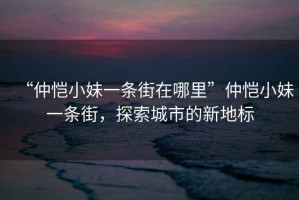 “仲愷小妹一條街在哪里”仲愷小妹一條街，探索城市的新地標(biāo)