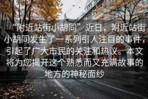 “附近站街小胡同”近日，附近站街小胡同發(fā)生了一系列引人注目的事件，引起了廣大市民的關(guān)注和熱議。本文將為您揭開這個(gè)熟悉而又充滿故事的地方的神秘面紗