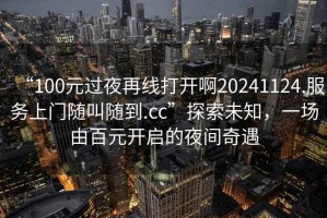 “100元過(guò)夜再線打開(kāi)啊20241124.服務(wù)上門(mén)隨叫隨到.cc”探索未知，一場(chǎng)由百元開(kāi)啟的夜間奇遇