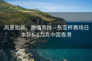 風(fēng)景如畫，激情競技—東亞杯賽場日本隊6-1力克中國香港