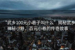 “武鄉(xiāng)100元小巷子叫什么”揭秘武鄉(xiāng)神秘小巷，百元小巷的傳奇故事